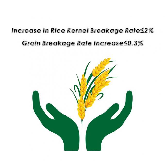 Toren paddy droger voor het drogen van rijst maïs en andere granen 5HPX-15 9.95kw Gehele afmeting 2500*4320*10200m 2