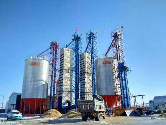 Goede prijs 200tpd hitte RecyclingsRijstfabrikant Ruw Paddy Dryer Direct Storage online