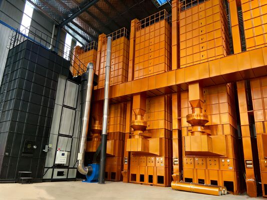 120 TPD Partijtype de Molen van Korrelpaddy dryer machine for rice