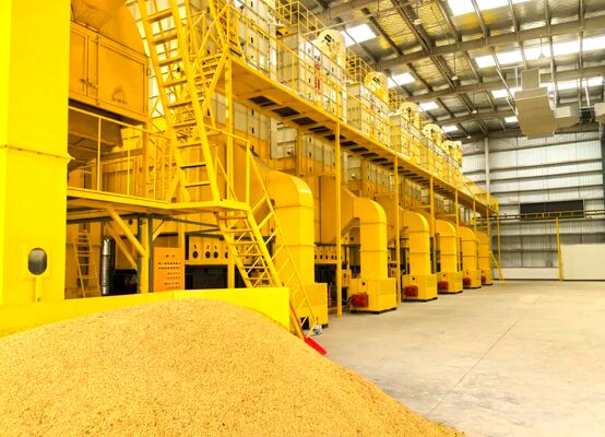 Goede prijs 100 Ton de Drogere Machine van de Korrelmaïs Al Richtingen het Drogen online