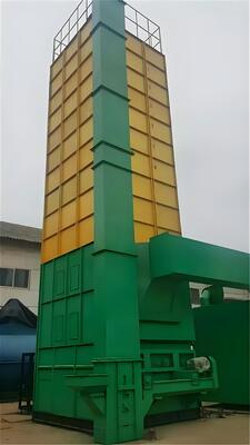 Goede prijs Laag krakingspercentage 12 ton Maïsbatch type roestvrijstalen droogmachines online